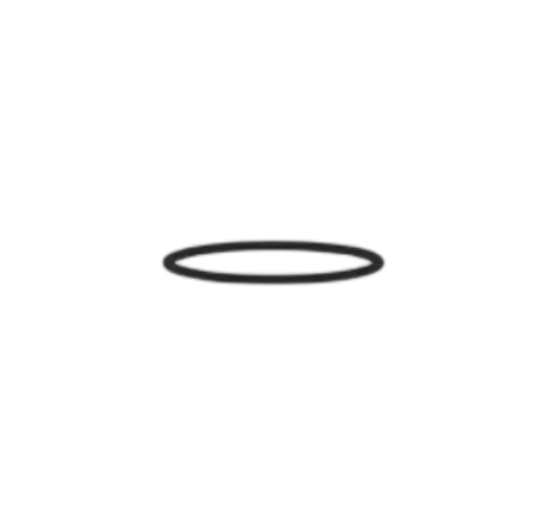 O Ring - Air Distributor | VED QL 55 05